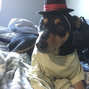 Meet your Posher, Gabbie